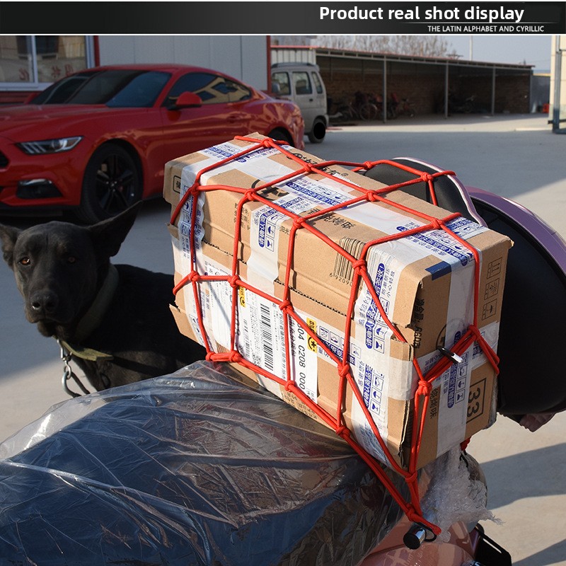 Heavy-Duty Luggage Net - Elast - Car Cargo Net Trunk 评论和价格